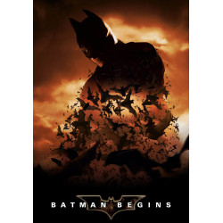 Batman Begins (2005)